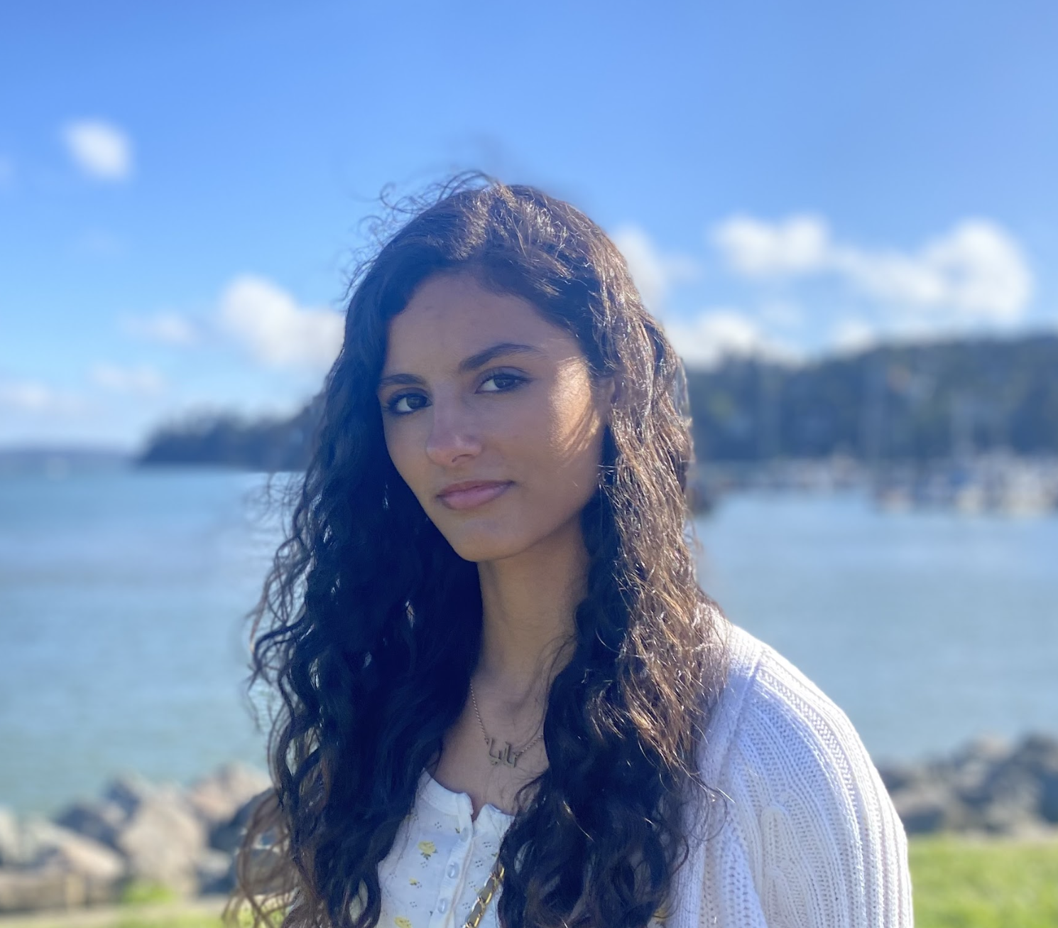 Dalya Al-Sammari